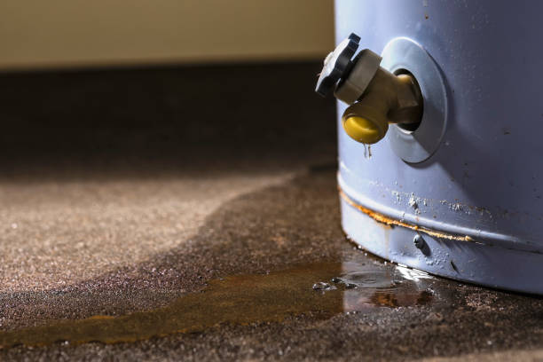 Best Ceiling water damage repair  in Enon, VA