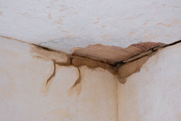  Enon, VA Water damage restoration Pros
