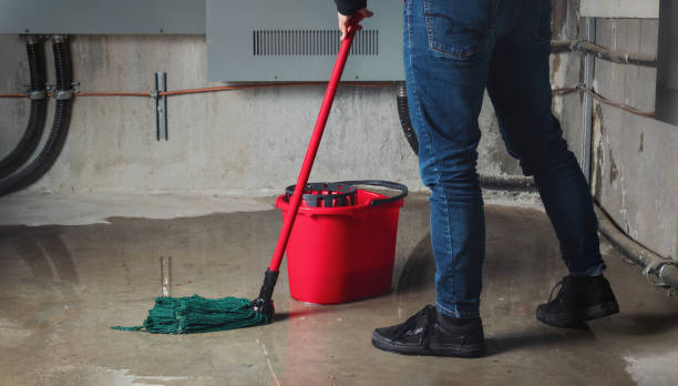 Best Flood restoration services  in Enon, VA
