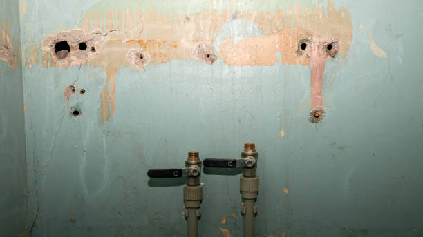 Best Local water damage restoration  in Enon, VA