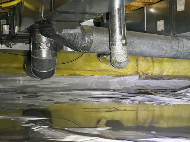 Best Water damage contractors near me  in Enon, VA